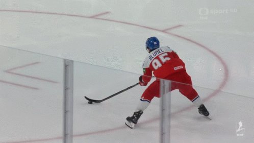 Hockey Ice GIF