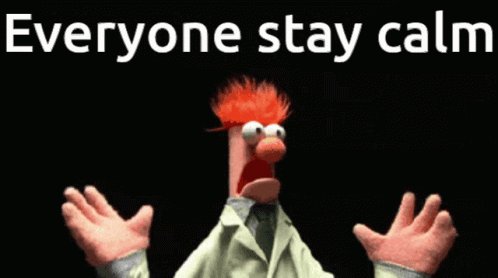 Beaker Muppets GIF