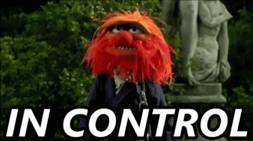 Muppets Animal GIF