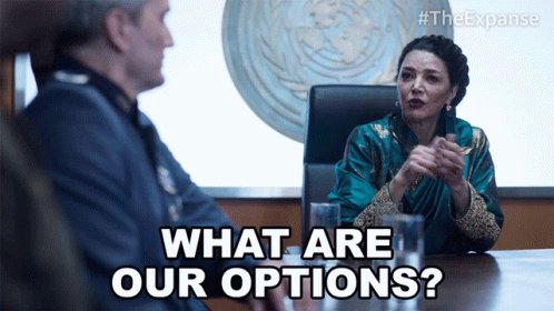 What Are Our Options Chrisjen Avasarala GIF