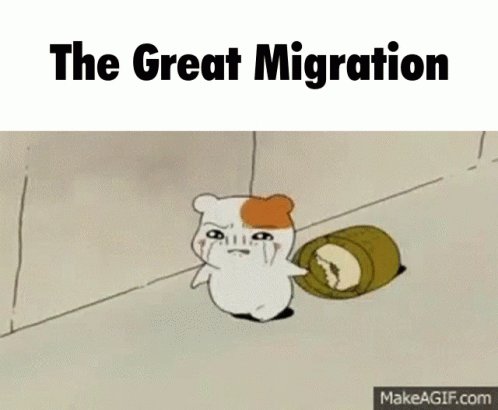 Migration GIF