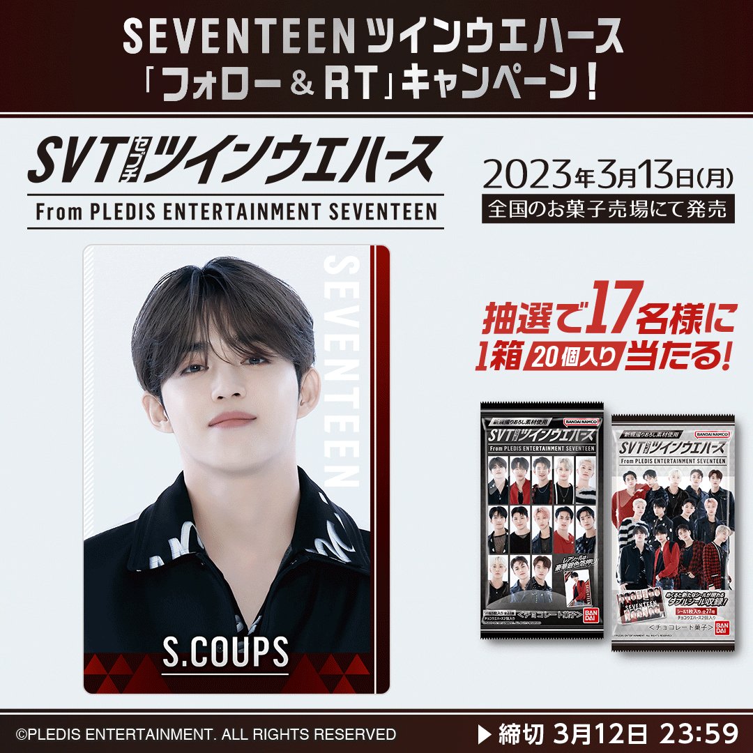 SVTツインウエハース From PLEDIS ENTERTAINMENT SEVENTEEN