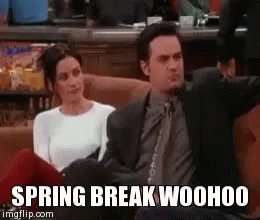 Friends Spring Break GIF