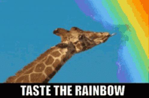 Rainbow Pride GIF