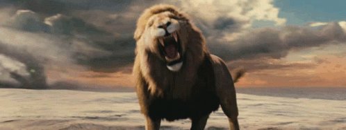 Panning digital shot of Lion on Rock MIGHTY ROARING!!!