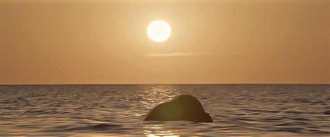 photographer : are there any other poses you want to get?   me: https://t.co/TTZ4eEfsTP<a href="/tag/mvsales"class="tags"><span>#mvsales</span></a>