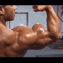 Muscle Huge GIF