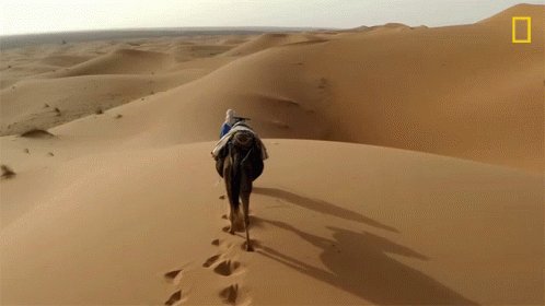 Desert Primal Survivor5 GIF