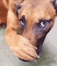 Treyreloaded GIF