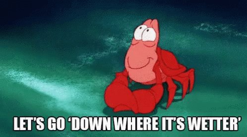 Me watching the s&p with all my retirement funds sitting in cash https://t.co/8Sea4GPCyx