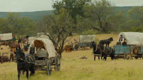 Driving A Horse And Buggy 1883 GIF