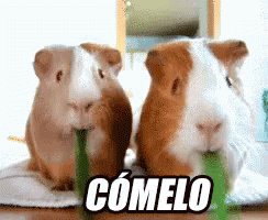 Cómelo GIF