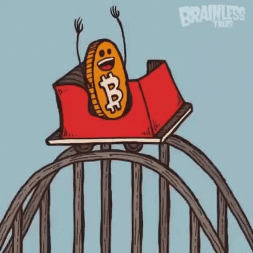 Rollercoaster Bitcoin GIF