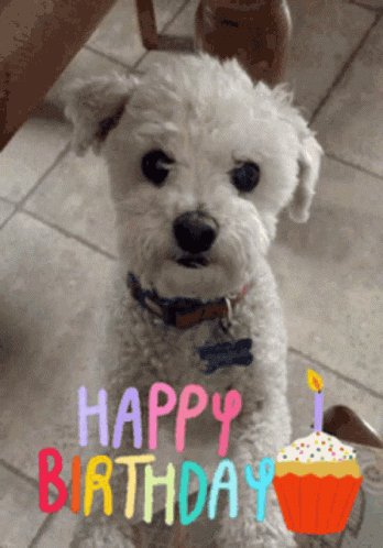  Happy Birthday!!! 