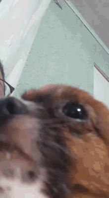 Ultimate Flash Sonic on Twitter: 