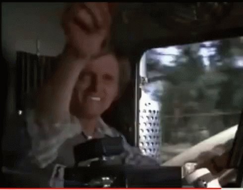 Well dammit! I forgot Jerry Reed s birthday. Happy Belated birthday Snowman! 