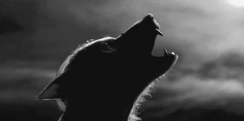 @DJJazzyJett https://t.co/guZ8twhrBW<a class="tags" target="_blank" title="On Twitter" href="/?out=eyJ0eXAiOiJKV1QiLCJhbGciOiJIUzUxMiJ9.eyJpYXQiOjE3MjU3OTQ0NjYsImlzcyI6InR3cG9ybnN0YXJzLmNvbSIsIm5iZiI6MTcyNTc5NDQ2NiwiZXhwIjoxNzU3MzMwNDY2LCJyZWRpcmVjdF91cmwiOiJodHRwczovL3R3aXR0ZXIuY29tL0RKSmF6enlKZXR0In0.MR3NNoMtiffc87NbYh0be4gzzGuTIxG59bxeRxOWC2h3DfkvlsQ6OuHNXzE3o7-ldyq7QF2_Pp66xivc0ONVgw">@DJJazzyJett</a><a href="/tag/xxx"class="tags"><span>#xxx</span></a><a href="/tag/onlyfans"class="tags"><span>#onlyfans</span></a><a href="/tag/nsfwtw"class="tags"><span>#nsfwtw</span></a><a href="/tag/nsfw_twt"class="tags"><span>#nsfw_twt</span></a>