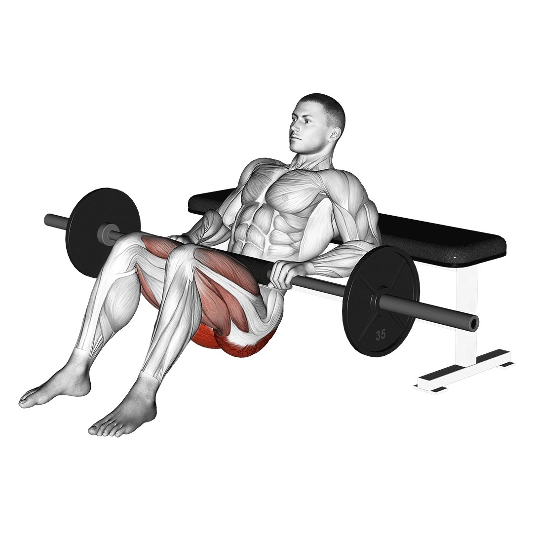 hip thrusts exercise