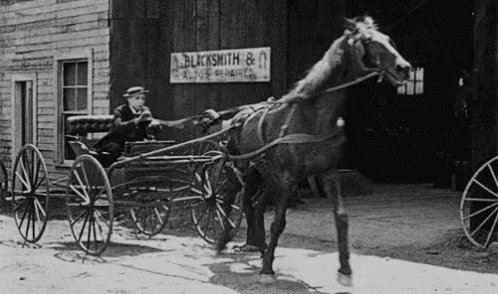 Horse Fail GIF
