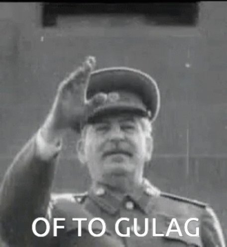 Of To Gulag GIF