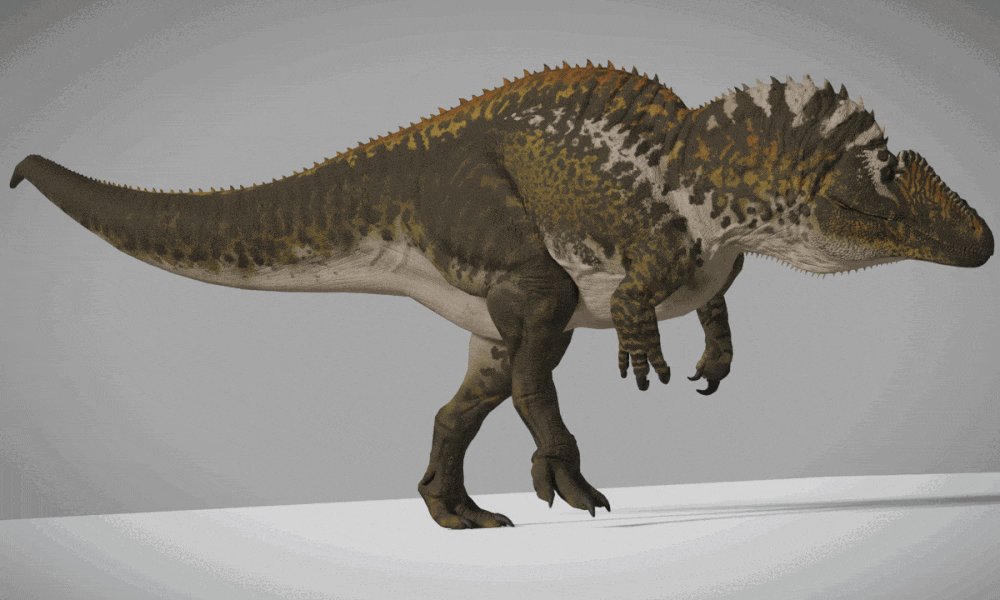 Maxsentia on X: The Urutu skin for the Absentia Path of Titans  Acrocanthosaurus Mod. Created by @NiTr0z24 and conceptualized by  @gamevidsforlife. #PathOfTitans #Acrocanthosaurus #Dinosaur #Dinosaurs #Mod  #Modding #Blender #Render #PaleoArt