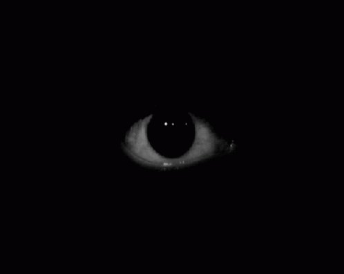 Eyes GIF