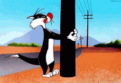 Beating Head Against A Pole Looney Tunes GIF