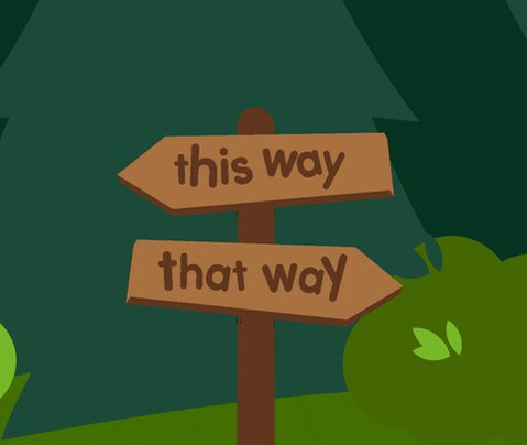 Which Way Paths GIF by Scratch Garden