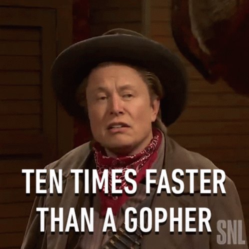 Ten Times Faster Than A Gopher Leron GIF