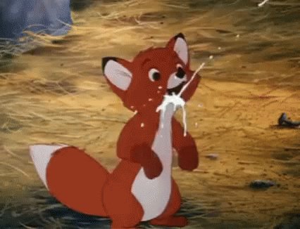 Todd Fox And Hound GIF