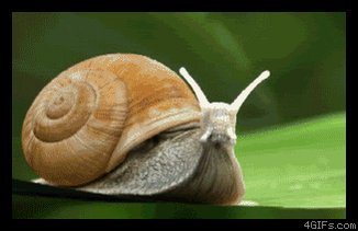 Gif of a snail turning into a spaceship and flying away