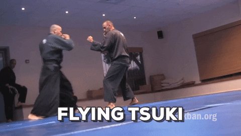 martial arts mma GIF by AKB...