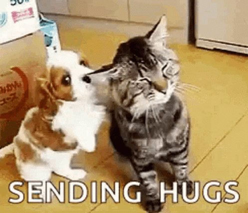 Sending Hugs Dog GIF