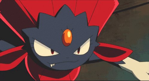 Smogon University on X: The results of our latest National Dex OU suspect test are in, and the community has voted that Zamazenta will remain legal in the National Dex tier. The