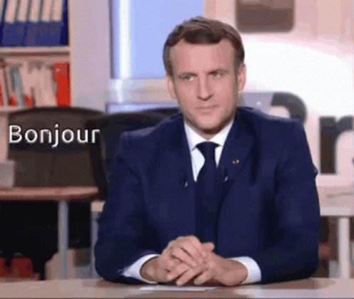 Lrem Macron GIF