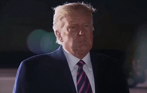 Donald Trump Wow GIF by GIP...