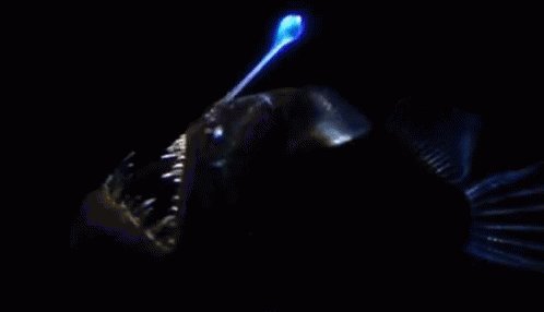 Deep Sea Fish GIF