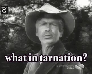 What In Tarnation GIF