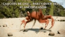 Cancer Crabs GIF