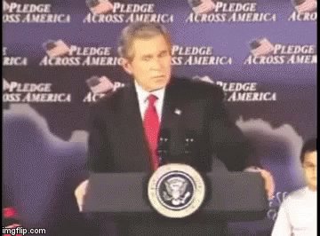 George Bush Fool GIF