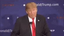 Words Trump GIF