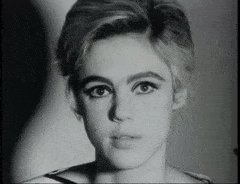 Happy Birthday  Edie Sedgwick 
