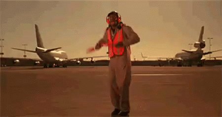 Dancing Flight GIF