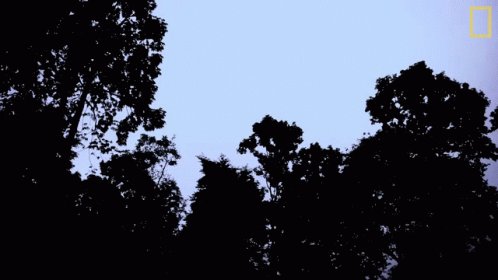 Texas&rsquo; thunderstorms are beautiful. Who else enjoys thunderstorms? https://t.co/vEkj1ZXUoy