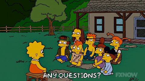 Lisa Simpson Questions GIF ...