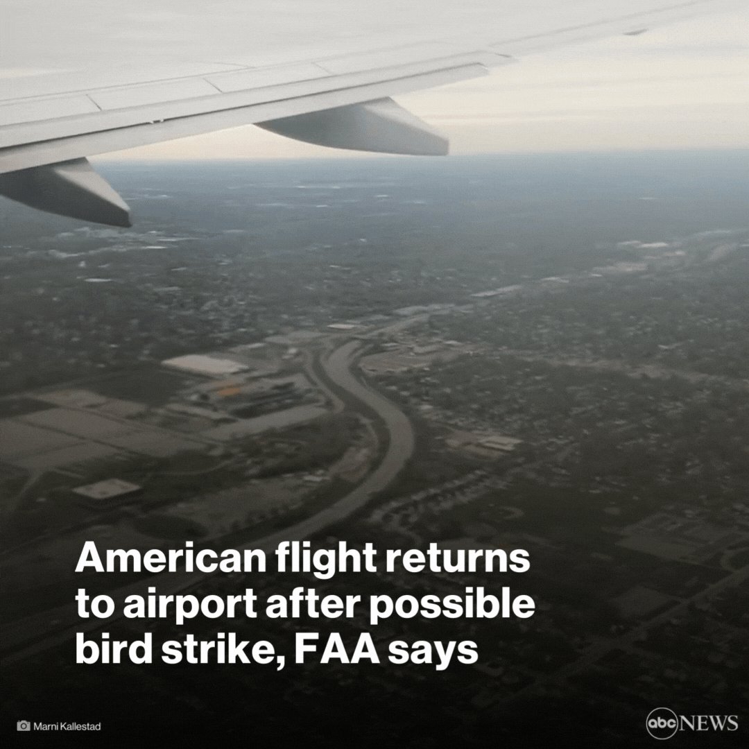 Bill Labovitz on Twitter "RT ABC An American Airlines flight