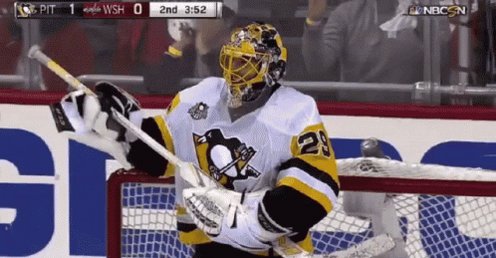 Fleury Hockey GIF