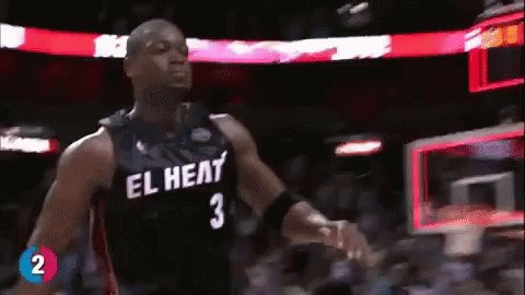 Dwayne Wade Ali GIF