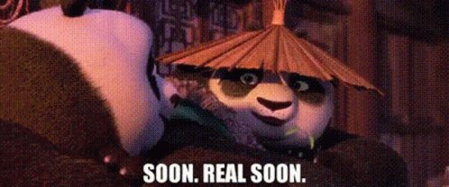 Kung Fu Panda Li GIF