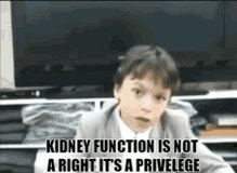 Vernon Kidney GIF